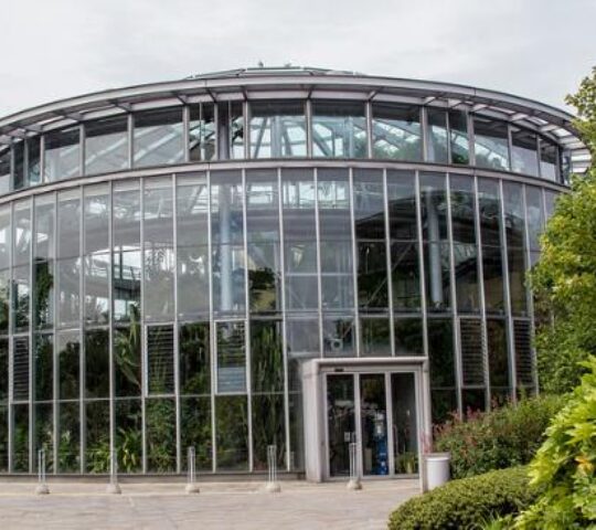 Sunderland Museum & Winter Gardens